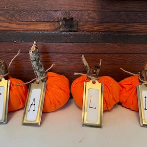 Fall Pumpkins. Handmade
