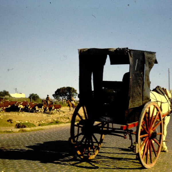 Vintage 35mm Slides - Montevideo Uruguay and Sao Paulo Brazil 1963 in Cardboard Frames - Lot of 35 - Vintage Photo Slides