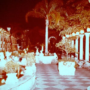 Vintage Kapok Tree Inn Florida Slides: 1960s Photo Slides, Lot of 10