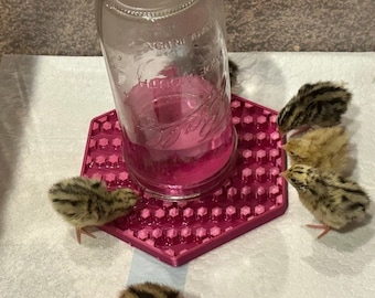 Baby Chicken, Quail, Duck Waterer for Small Mouth Mason Jars - Gift for Hobbyist- Automatic Feeder Dish - Mason Jar Auto Water Dispenser