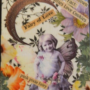 May include: A collage featuring a fairy with wings, flowers, and text that reads "Little Known Fact: Fairies Love Cookies", "Fairy of Love", "pink pixie fairy", "believe", and "love has no bounds".