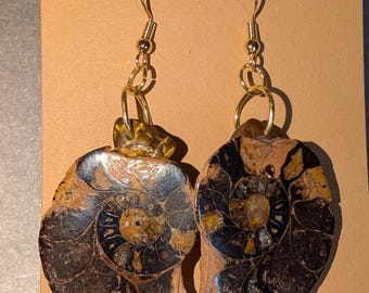 Ancient Geometry: Polished Ammonite Fossil and Tiger’s Eye Earrings