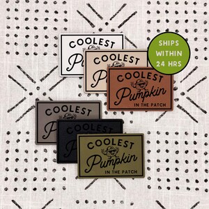 May include: A collection of rectangular patches in various colors including white, beige, brown, gray, black, and olive green. Each patch features the text "COOLEST PUMPKIN IN THE PATCH" and a graphic of a pumpkin wearing sunglasses and a hat.