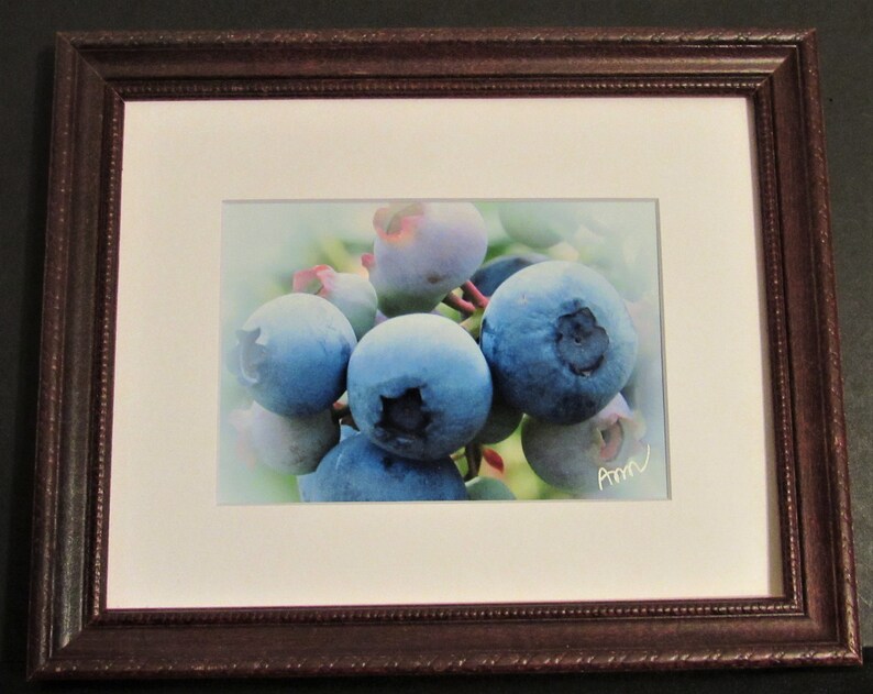 signed. Nature close-up Fine Art Photo Print Blueberries 5 x 7 matted and ready to frame