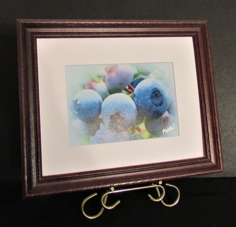 signed. Nature close-up Fine Art Photo Print Blueberries 5 x 7 matted and ready to frame