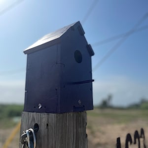 Puede incluir: Una casita de p&aacute;jaros azul oscuro se asienta sobre un poste de madera. La casita de p&aacute;jaros tiene una peque&ntilde;a abertura para que los p&aacute;jaros puedan entrar. El poste est&aacute; desgastado y tiene un gancho de metal sujeto a &eacute;l.