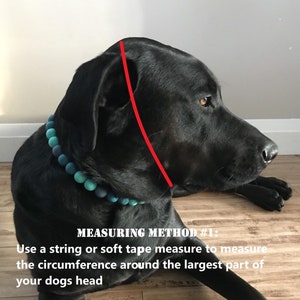 May include: A black dog with a blue beaded collar. A red line shows how to measure the circumference of the dog's head for a collar. The text reads "MEASURING METHOD #1: Use a string or soft tape measure to measure the circumference around the largest part of your dog's head."