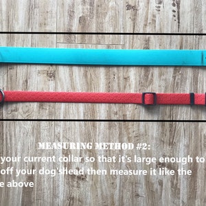 May include: Two dog collars, one turquoise blue and one red, are laid out on a wooden surface. The collars are measured to show how to measure a dog's neck for a collar.