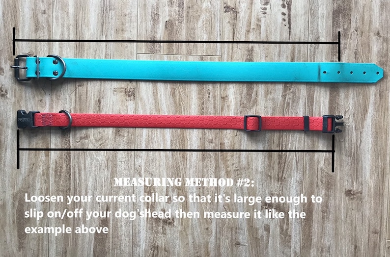 May include: Two dog collars, one turquoise blue and one red, are laid out on a wooden surface. The collars are measured to show how to measure a dog's neck for a collar.