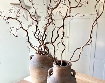 Contorted Hazel Corylus Branches Curly Twigs Corkscrew Natural Twisted Stems Minimalist Japandi Decor Wabi Sabi Spring Twigs For Vase