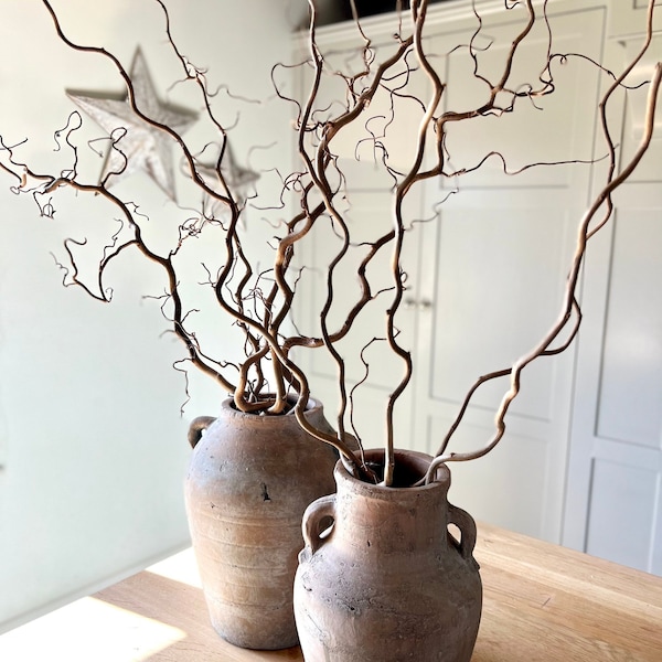 Contorted Hazel Corylus Branches Curly Twigs Corkscrew Natural Twisted Stems Minimalist Japandi Decor Wabi Sabi Spring Twigs For Vase