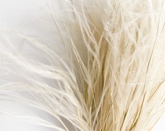 Dried Feather Grass Natural Beige Stipa Grass Boho Wedding Decor Dried Flowers Ornamental Grass Feathery Pampas For Tabletop Vase Decor