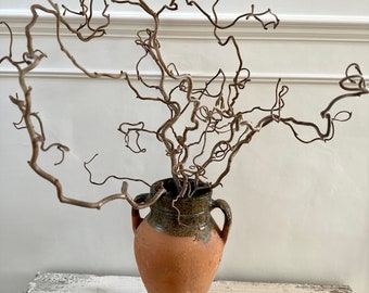 Contorted Hazel Corylus Branch Curly Twigs For Tabletop Vase Corkscrew Natural Twisted Stems Branches Wabi Sabi Spring Decor Japandi Style