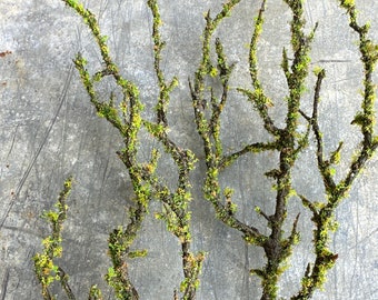 Artificial Mossed Branch Faux Woodland Moss Textured Woody Stem Natural Look Realistic Twig With Fake Green Moss For Floral Displays