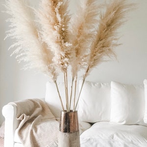 K&ouml;nnte beinhalten: Ein Strau&szlig; getrockneter Pampasgr&auml;ser in einer kupferfarbenen und braunen Vase auf einem wei&szlig;en Sofa mit einer Wolldecke. Die Vase steht auf einem Couchtisch mit einem Buch mit dem Titel "A Tree in the House" von Hickson.