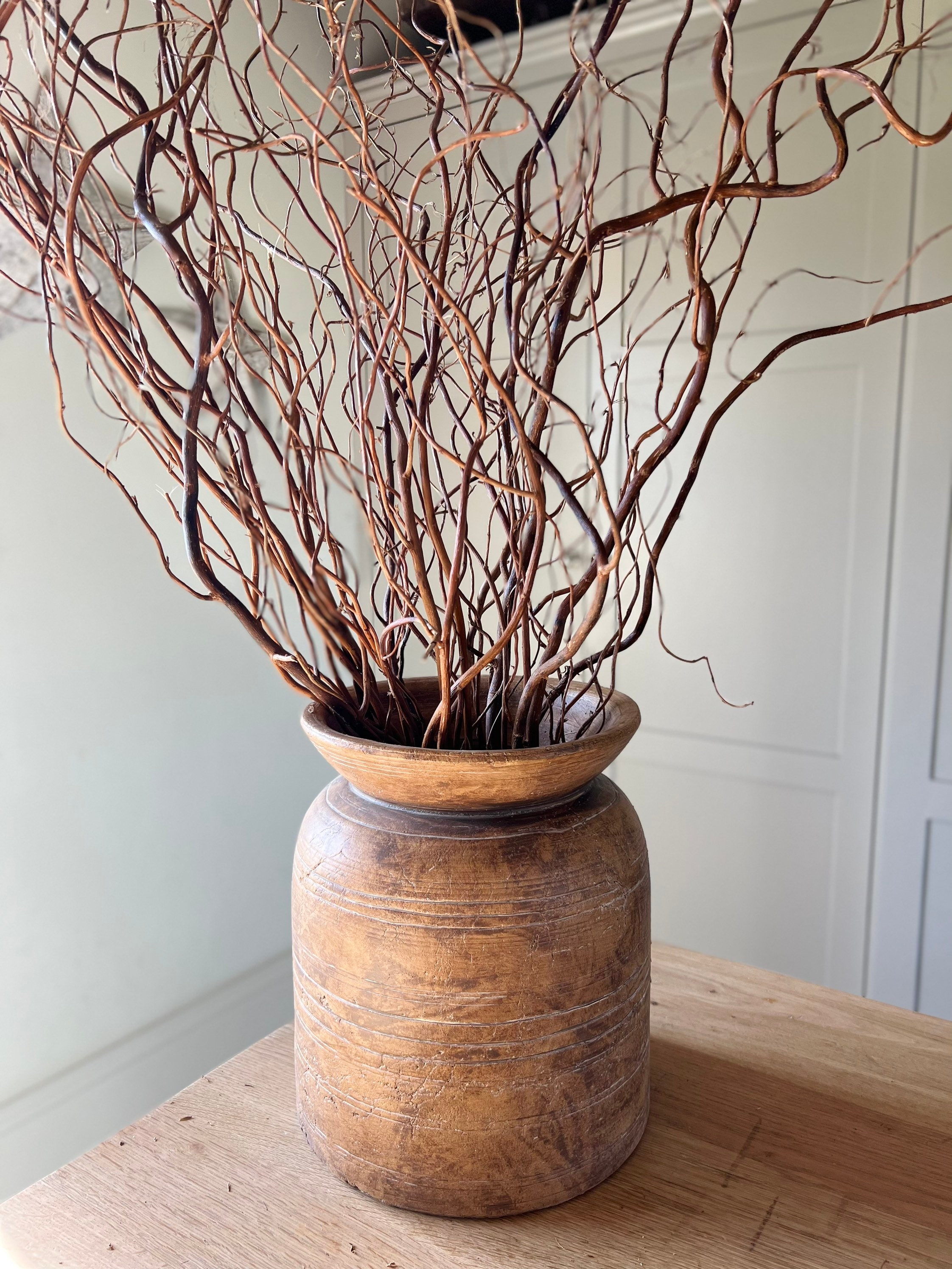 Twisted Willow Branches Curly Twigs Corkscrew Salix Bunch Etsy UK
