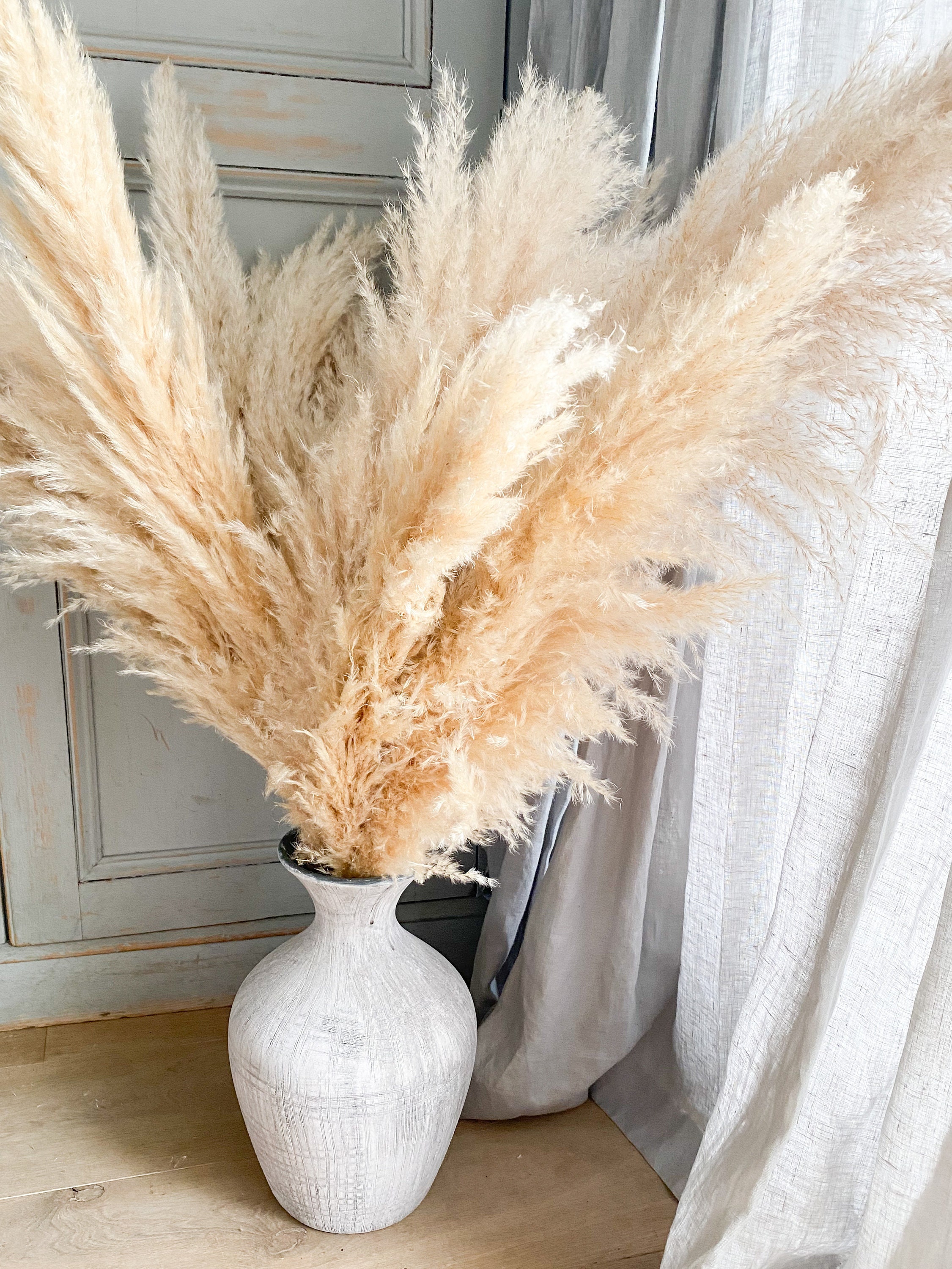 fluffy big Beige Plume Dried pampas grass
