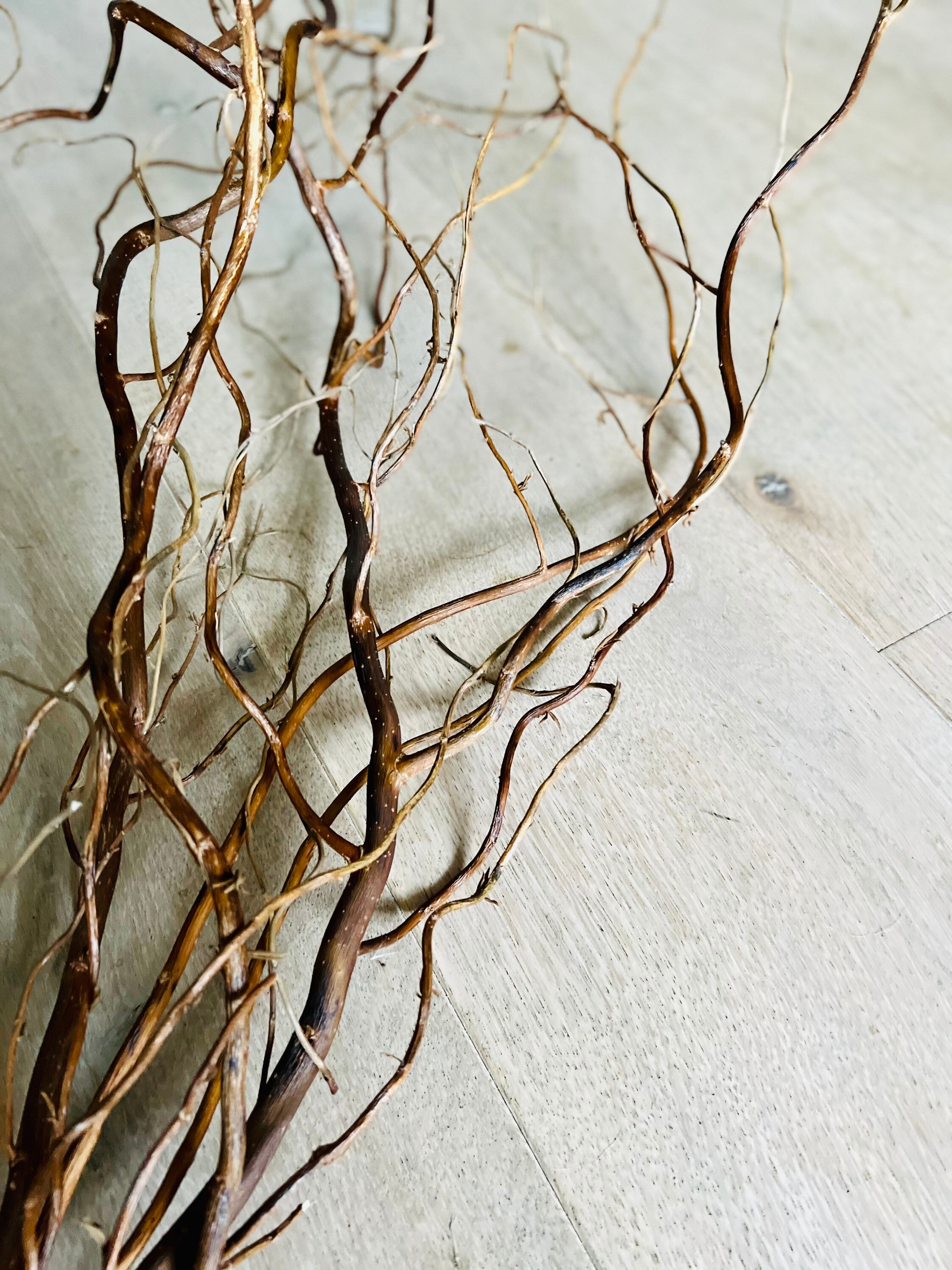 Twisted Willow Branches Curly Twigs Corkscrew Salix Bunch Etsy UK