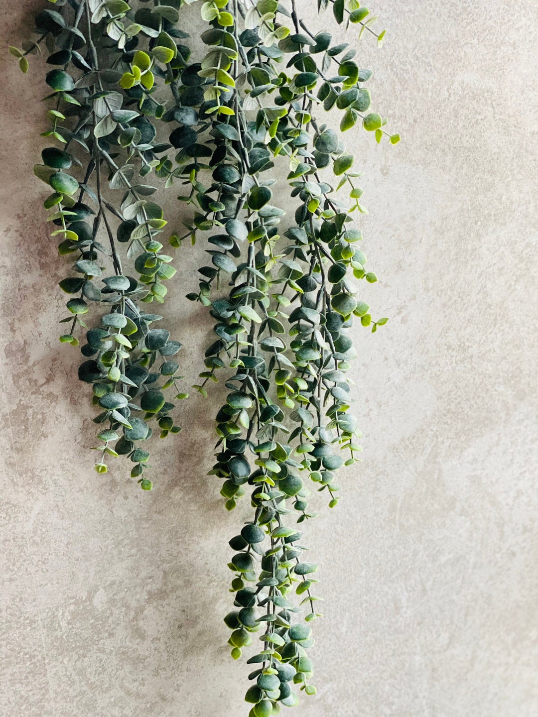 Artificial Trailing Eucalyptus Plant Faux Hanging Green Etsy UK