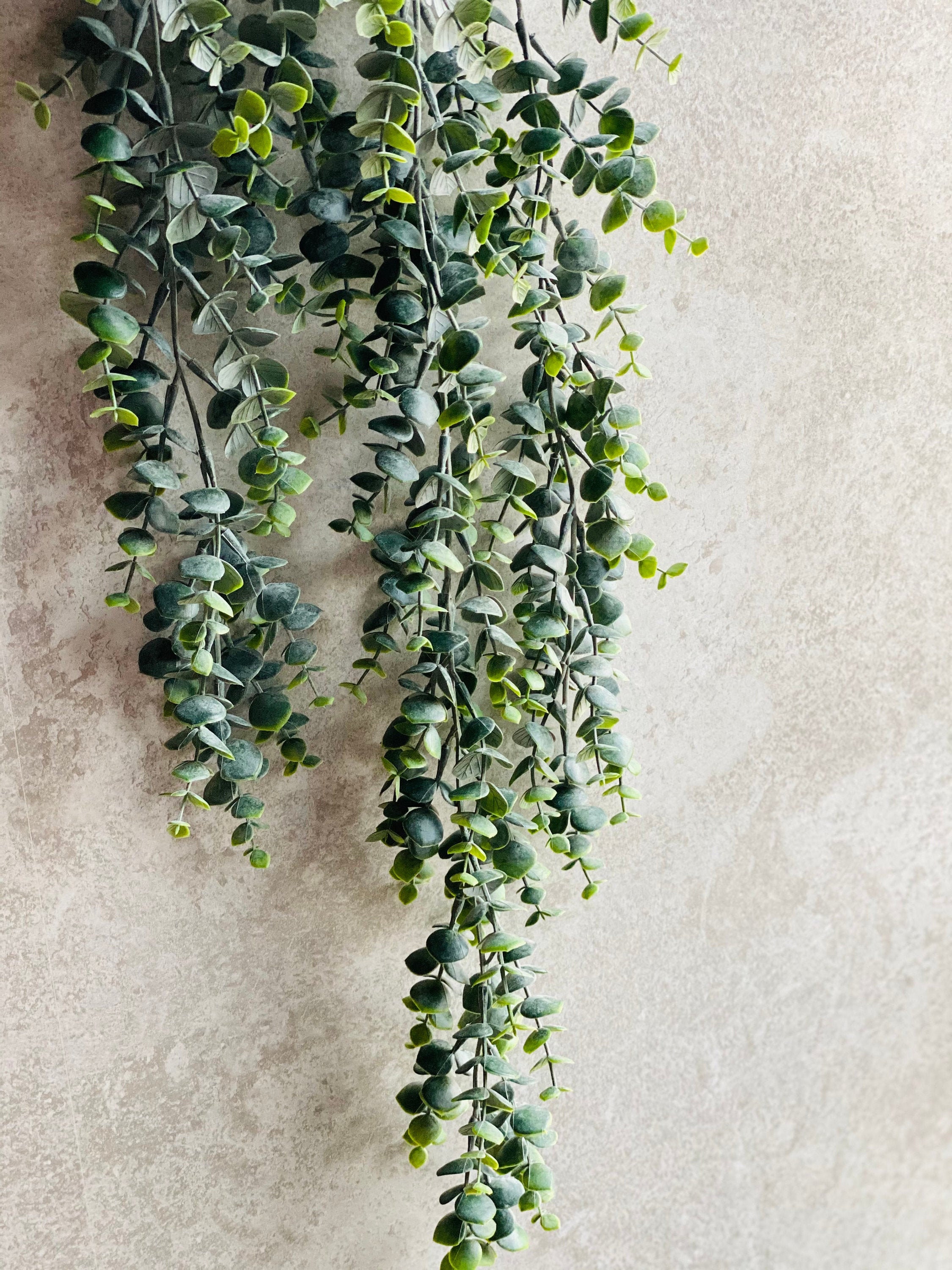 Artificial Succulent, String of Pearls, Succulent, String of