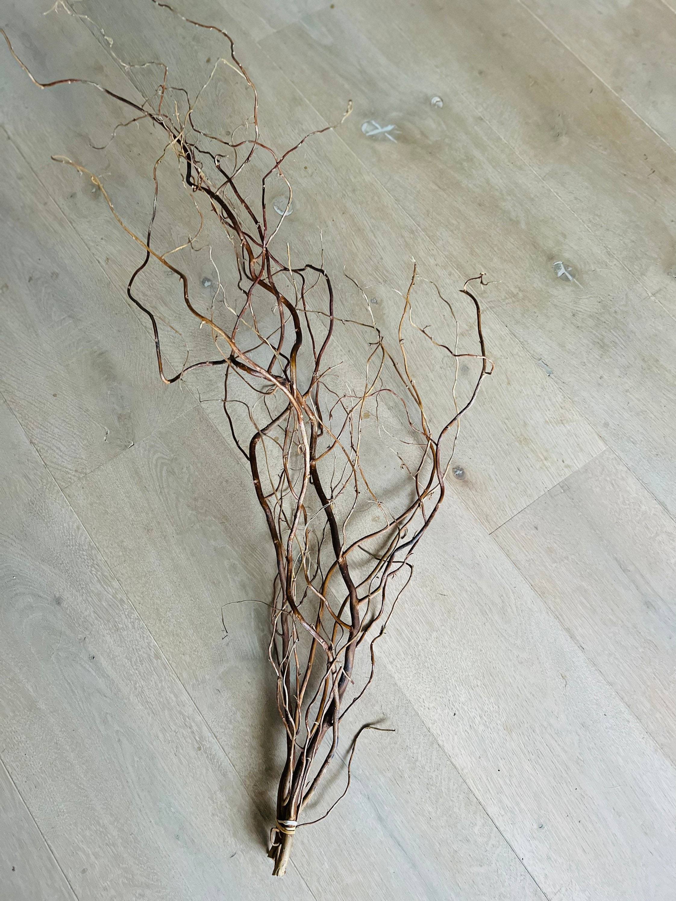 Twisted Willow Branches Curly Twigs Corkscrew Salix Bunch Etsy UK