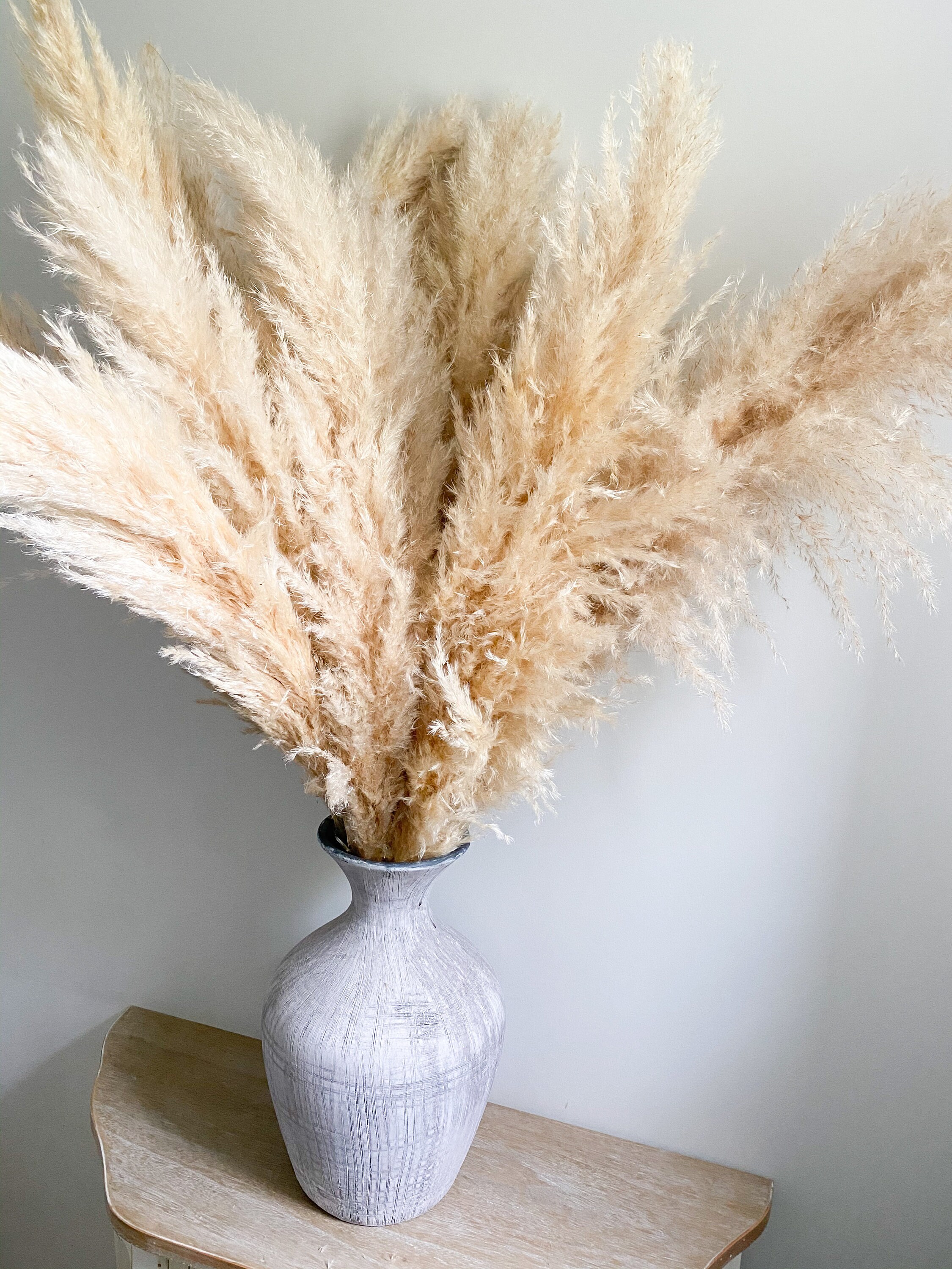 XL Dried Pampas Grass Extra Large Fluffy 6070cm Plumes Etsy