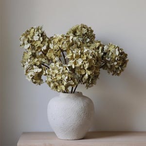 May include: A white, textured vase displays a collection of dried hydrangeas. The flowers are a muted green and beige, with multiple flower heads. The vase is round with a narrow neck, and sits on a light-coloured wooden surface.