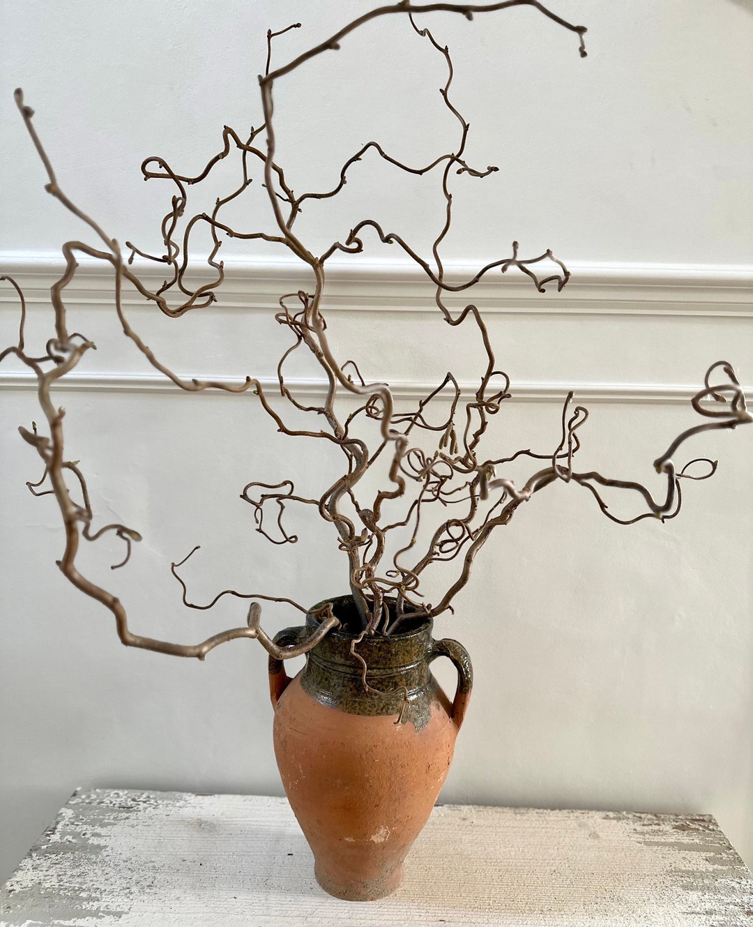 Contorted Hazel Corylus Branch Curly Twigs for Tabletop Vase Corkscrew