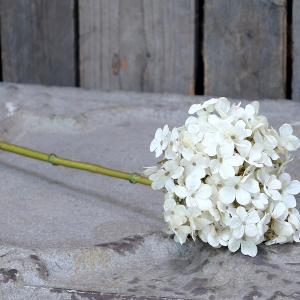 Dried Hydrangeas Etsy UK