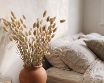Dried Flowers Bunch Natural Phalaris Grass for Boho Decor Floral Arrangements Dried Bouquets Rustic Home Decor Green Dried Foliage