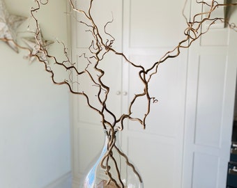 Contorted Hazel Corylus Branches Curly Tall Twigs For Vase Corkscrew Natural Twisted Stems Minimalist Japandi Decor Wabi Sabi 90-100cm Long