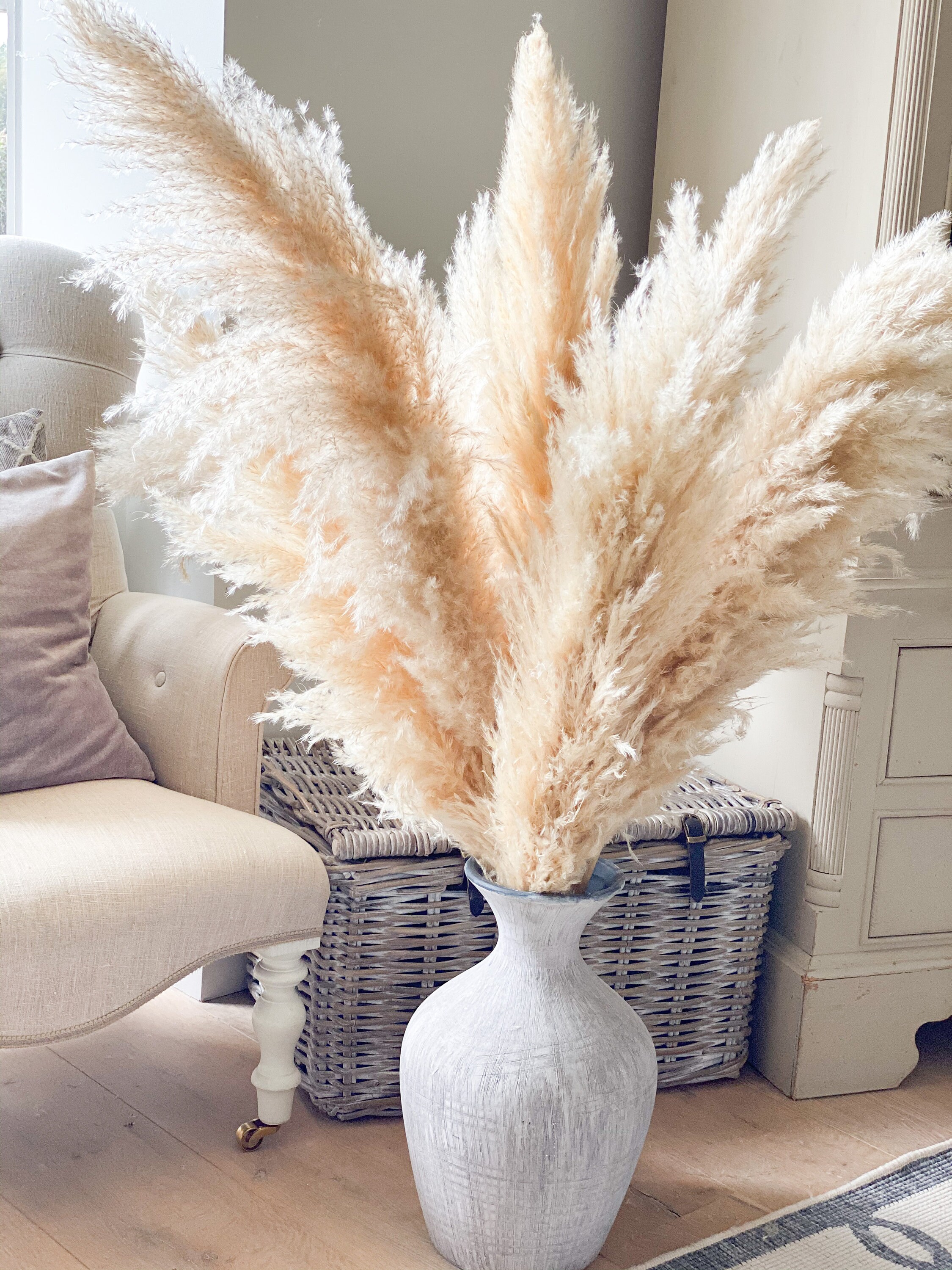 XL Dried Pampas Grass Extra Large Fluffy 6070cm Plumes Etsy