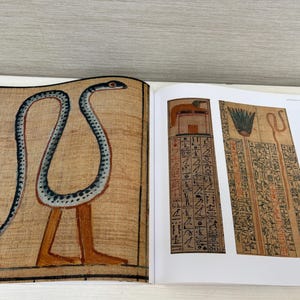 May include: An open book displaying ancient Egyptian art. One page features a stylized snake with legs, painted in brown, black, and blue. The facing page shows two rectangular panels with hieroglyphs and illustrations in brown and black.