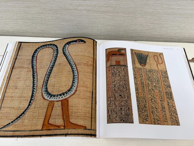May include: An open book displaying ancient Egyptian art. One page features a stylized snake with legs, painted in brown, black, and blue. The facing page shows two rectangular panels with hieroglyphs and illustrations in brown and black.