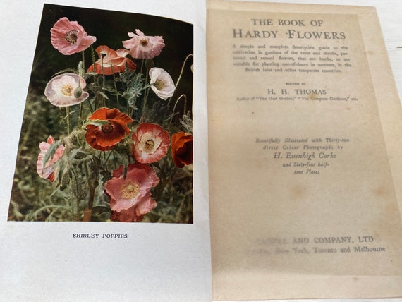 H H Thomas 著「The Book of Hardy Flowers」アンティーク ハード