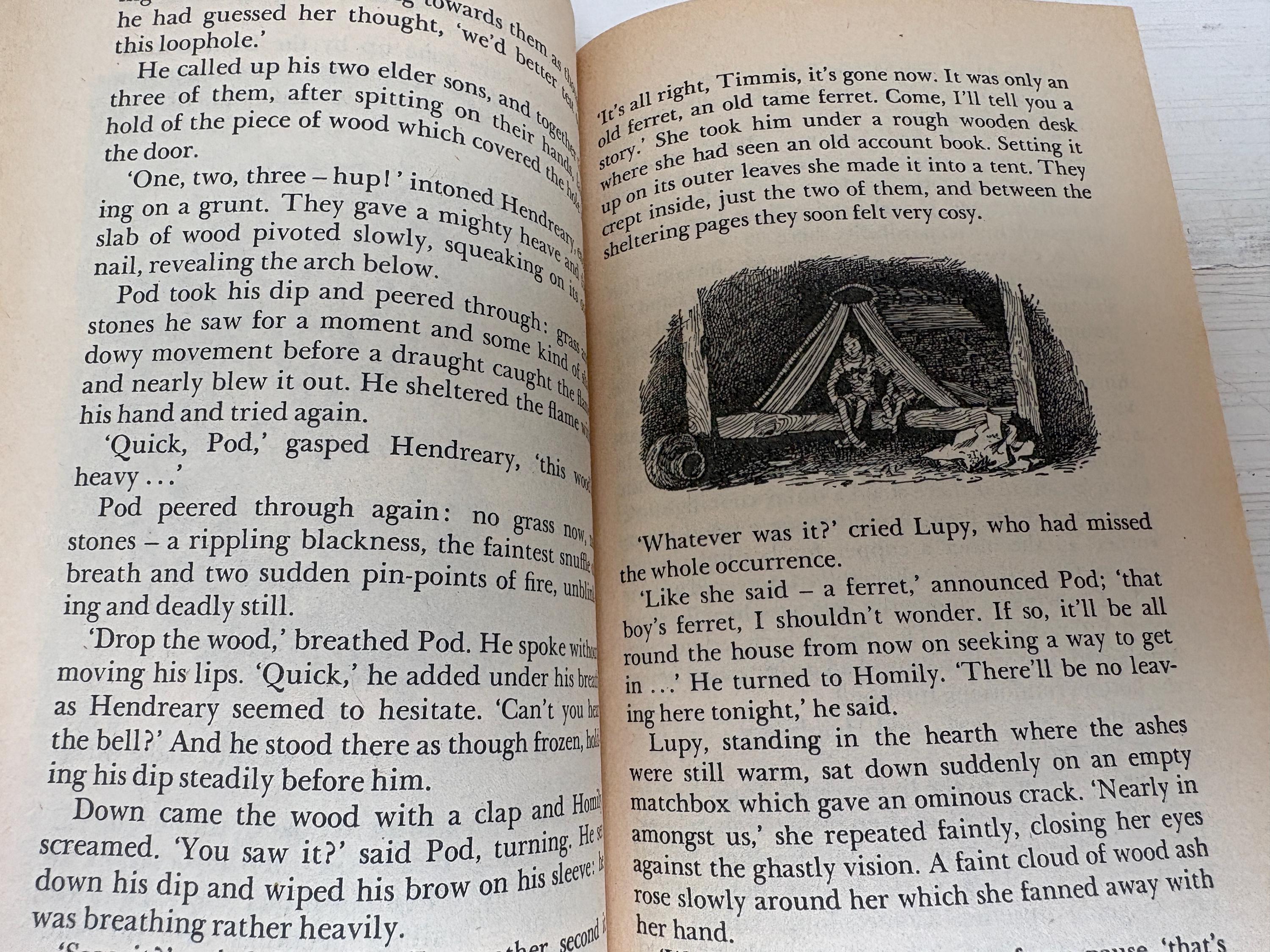 The Borrowers Afloat by Mary Norton Vintage 1972 Illustrated by Diana ...