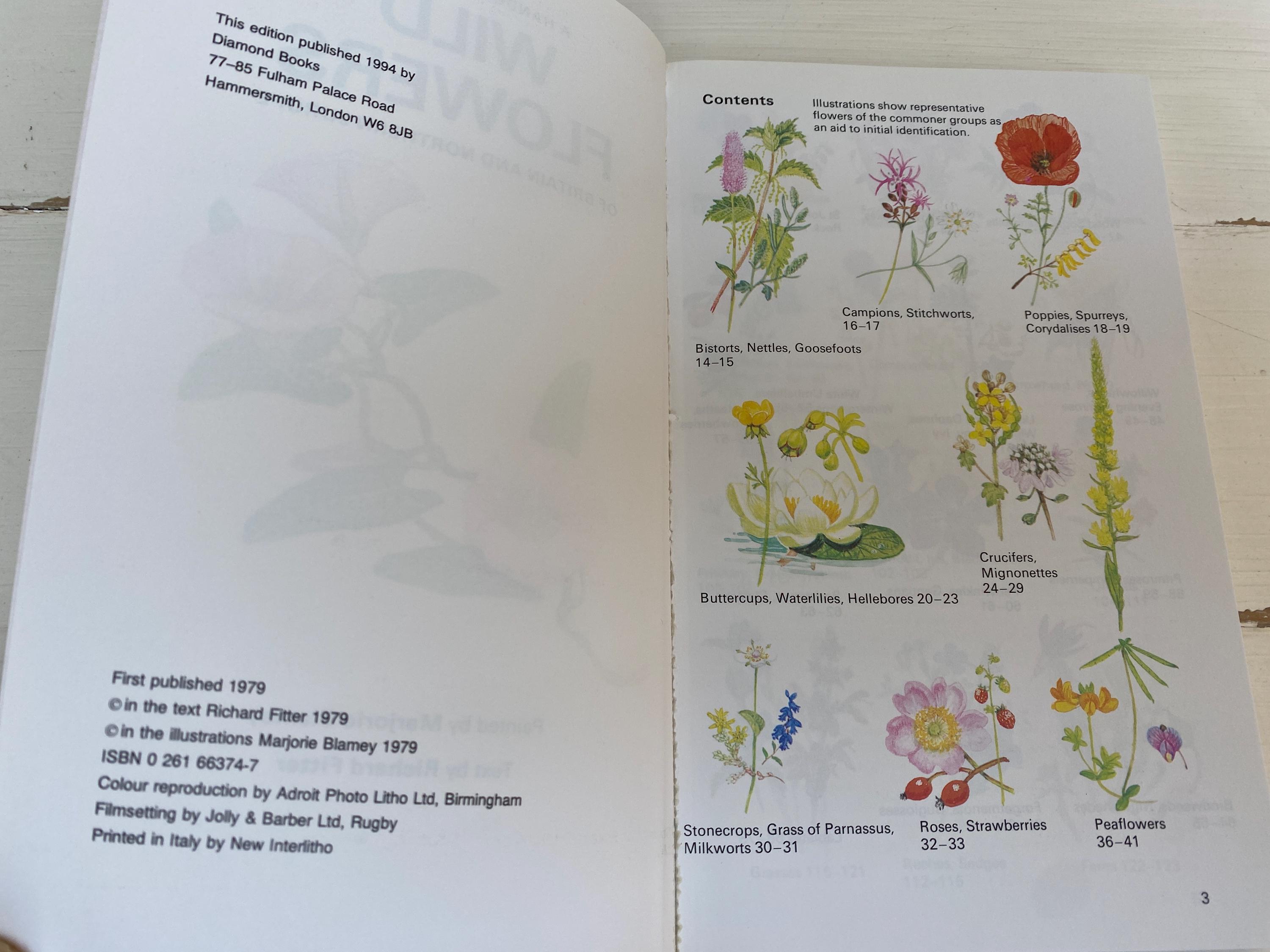 Wild Flowers of Britain - A Treasury of Traditions
