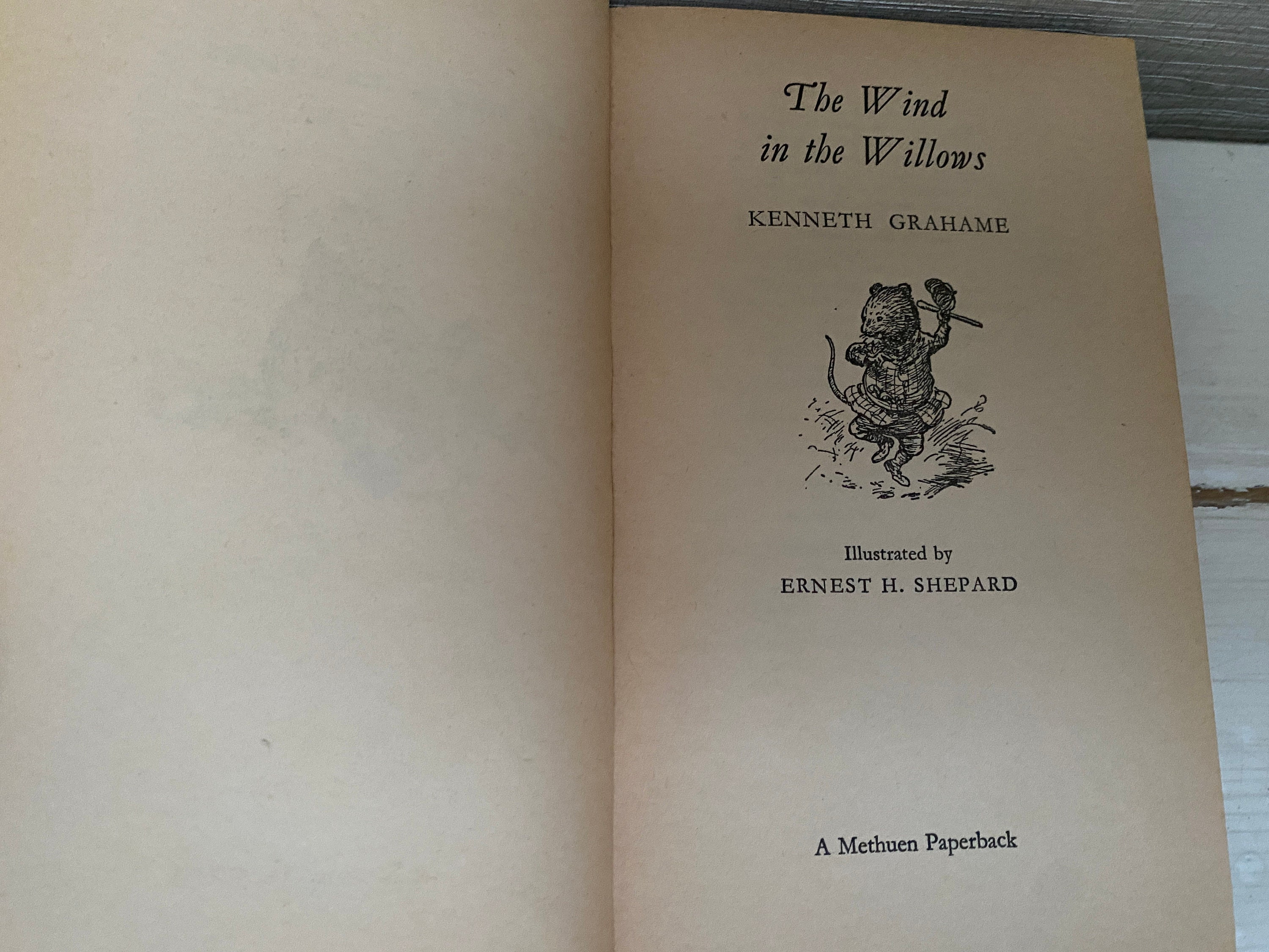 The Wind in the Willows by Kenneth Grahame - Methuen 1977 Paperback ...