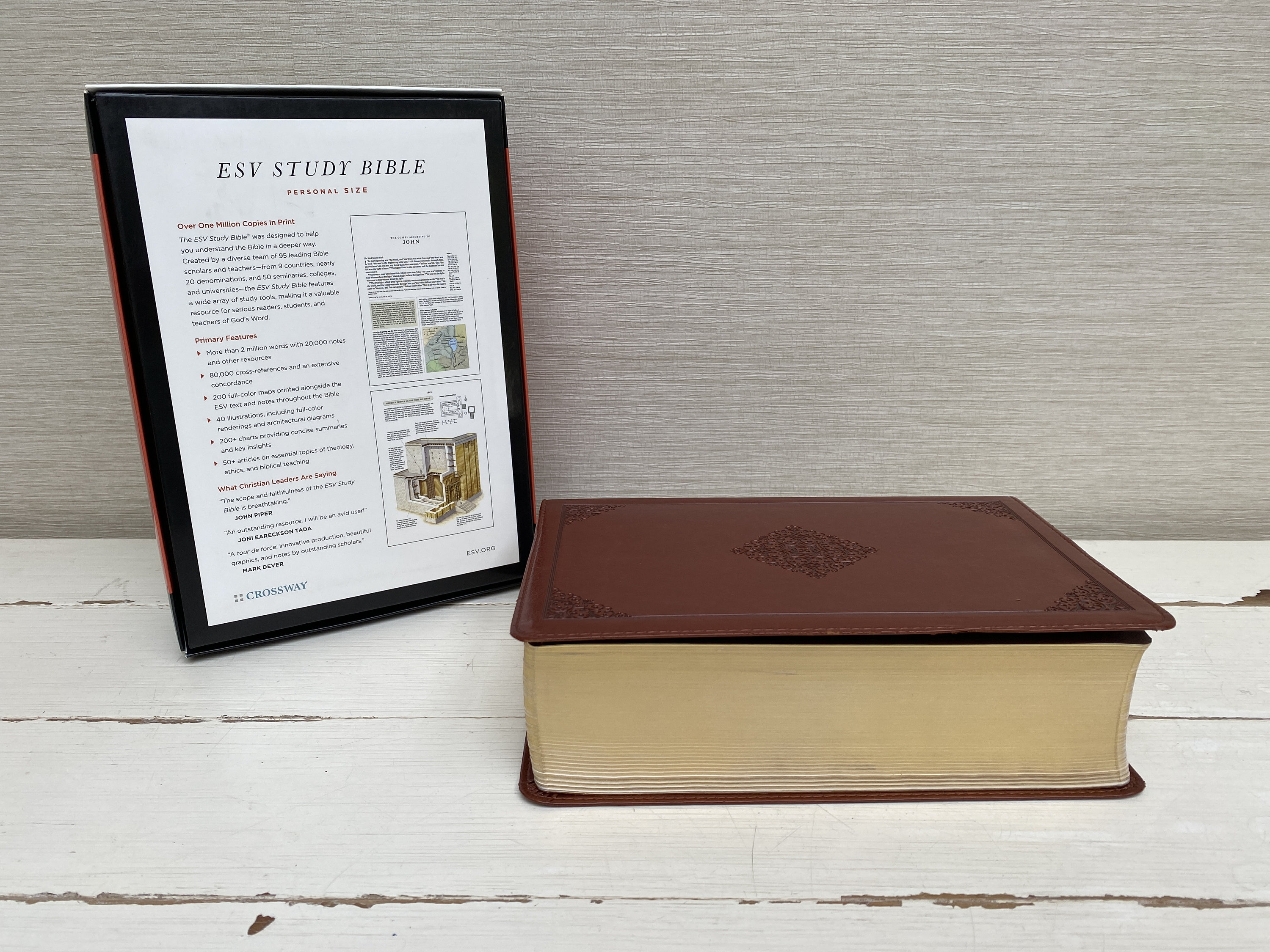 ESV Study Bible Personal Size Trutone Saddle Ornament Design in Box - Etsy