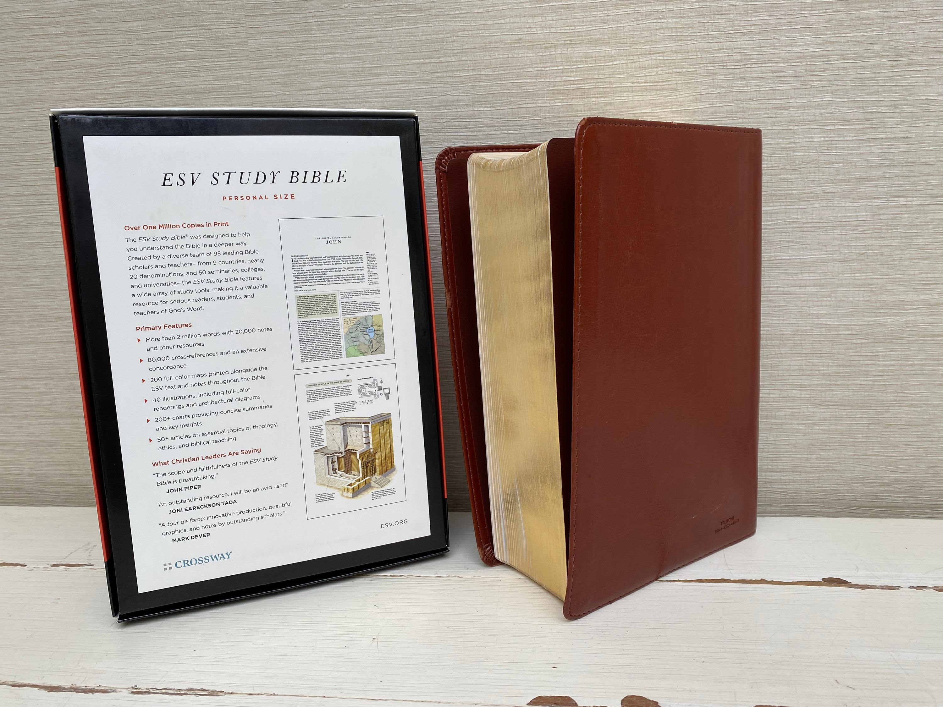 ESV Study Bible Personal Size Trutone Saddle Ornament Design in Box - Etsy