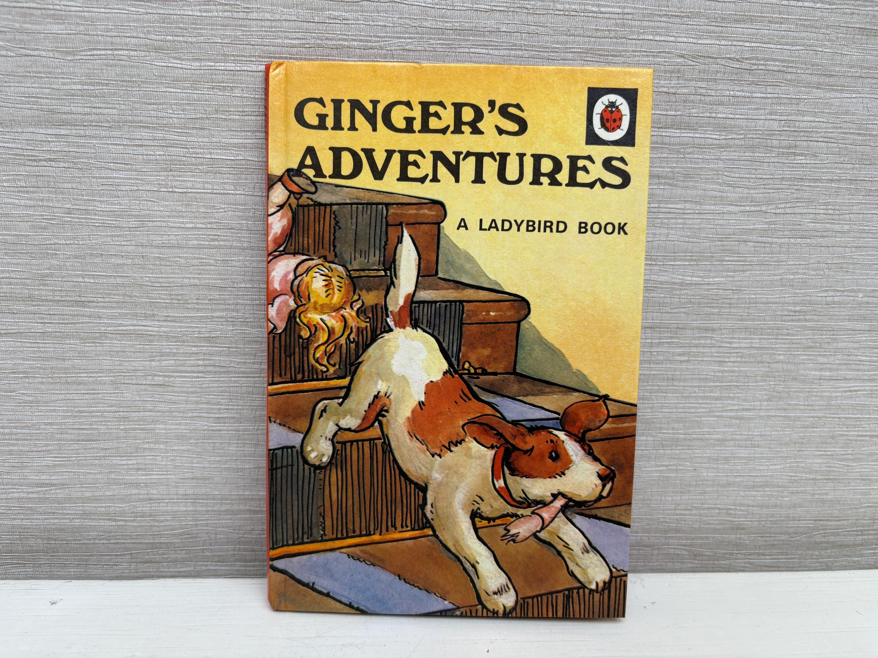 Ladybird Vintage Children's Hardback Books - Series 401 - 1960/70s