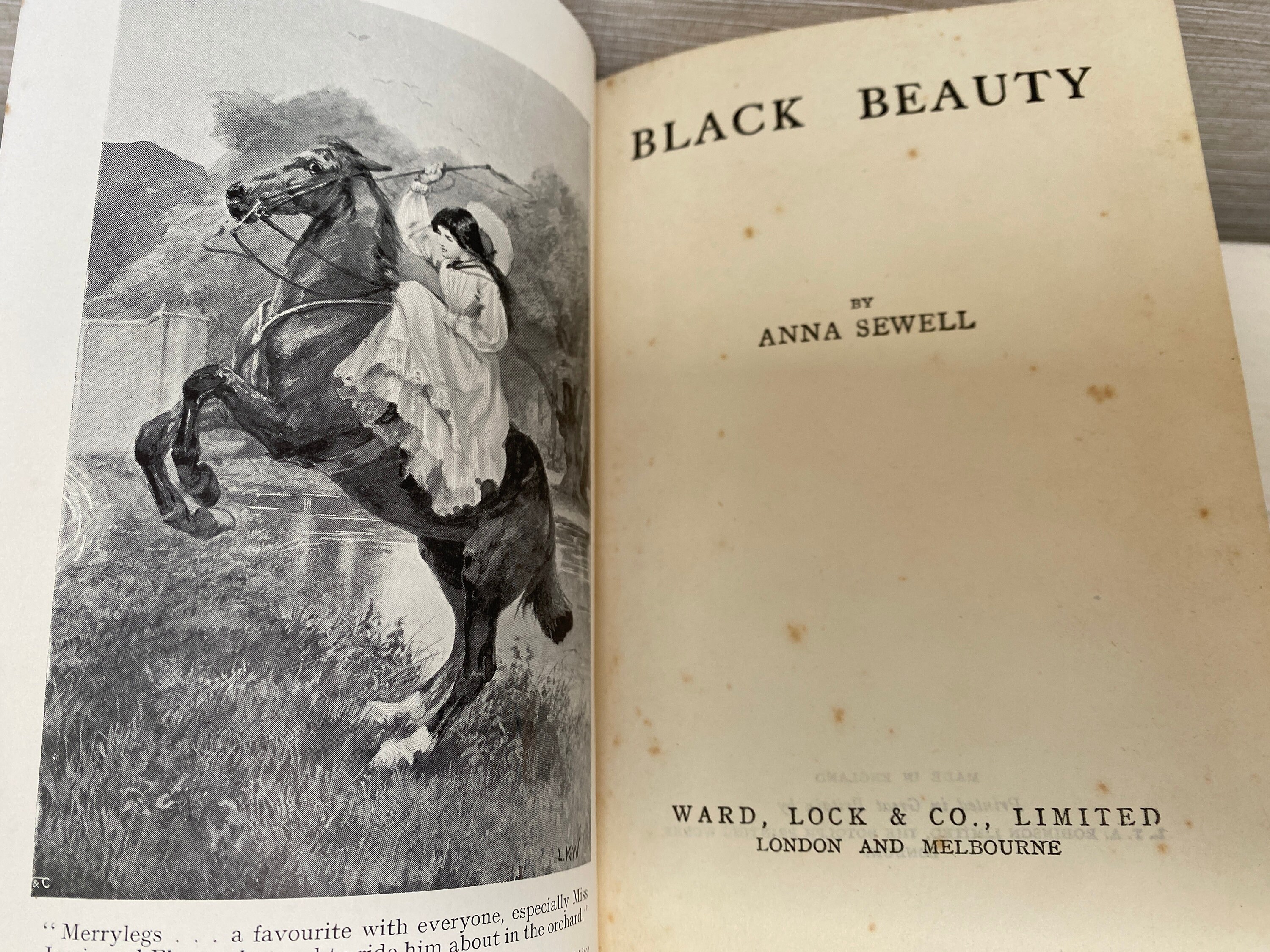 Black Beauty by Anna Sewell Vintage Hardback Book -ward Lock