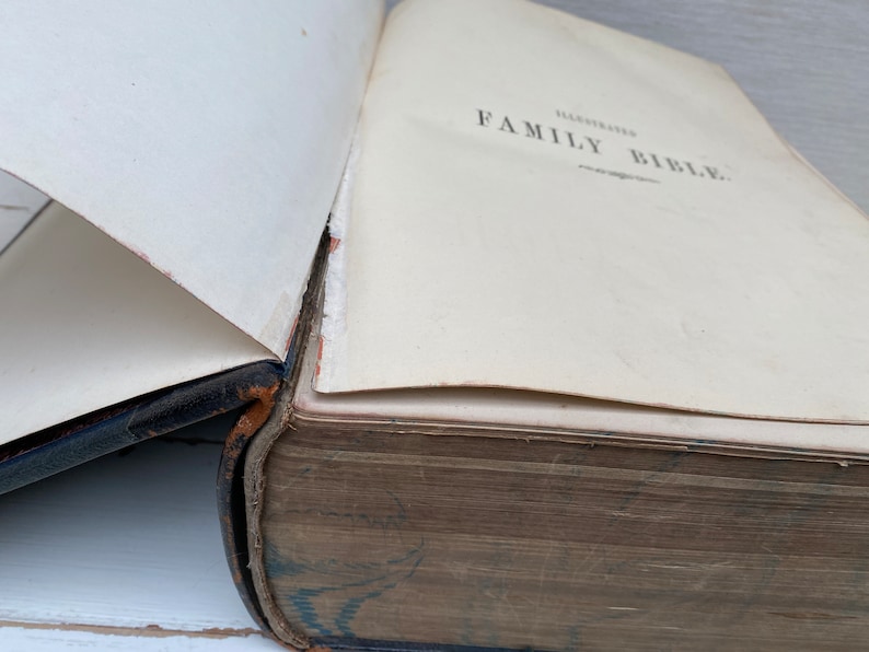 May include: A vintage, leather-bound book with the title "Illustrated Family Bible" on the cover.