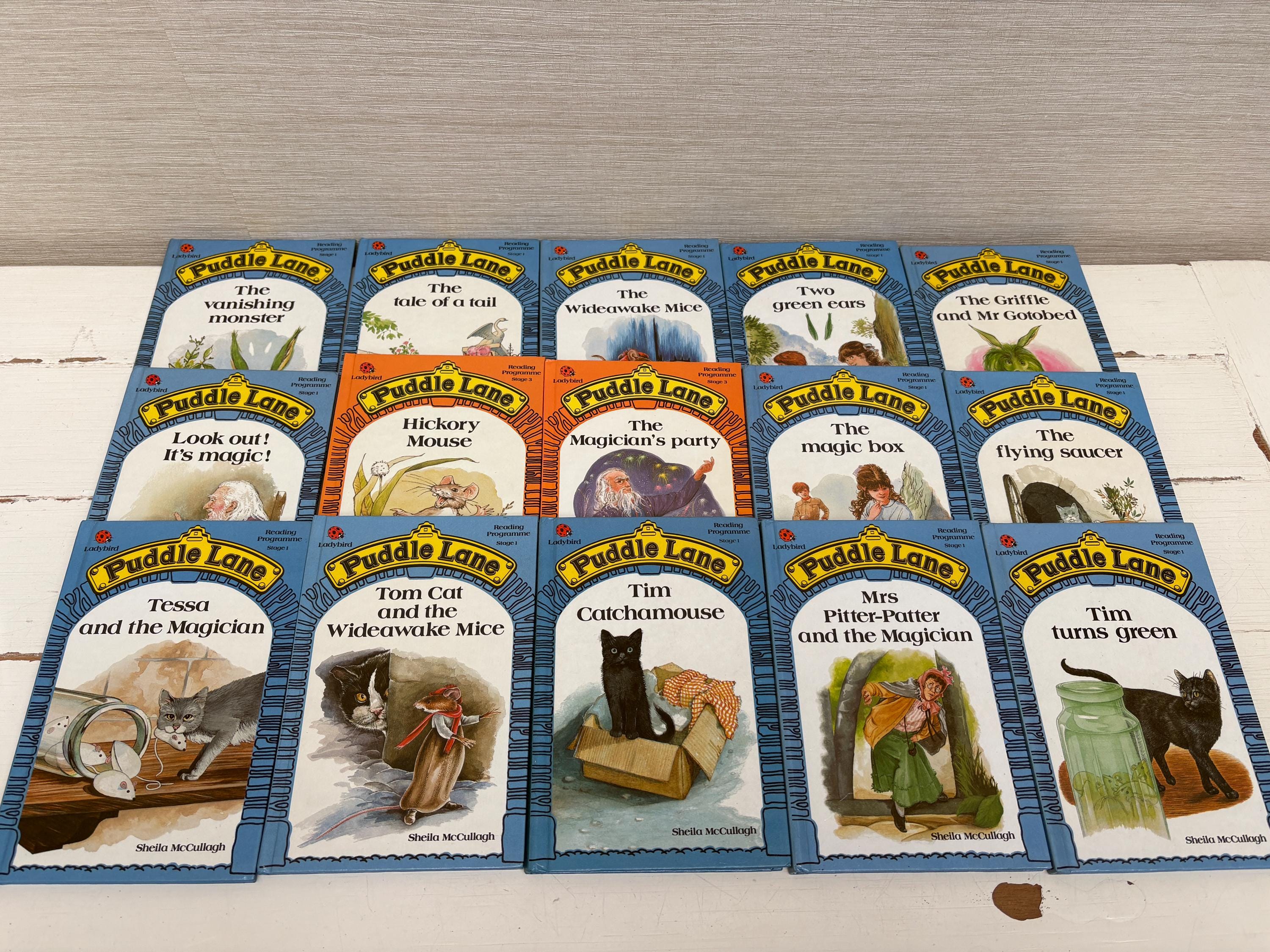  ♡ Layla Ladybird 廃盤 Ladybird Vintage Hardback Books - Puddle Lane Reading Programme by
