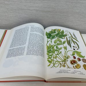 May include: An open book with a red cover and green spine, displaying text and botanical illustrations. The right page features detailed drawings of plants, pods, and seeds, with labels. The left page contains dense text.