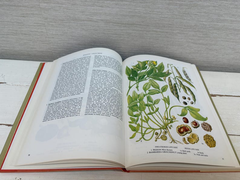 May include: An open book with a red cover and green spine, displaying text and botanical illustrations. The right page features detailed drawings of plants, pods, and seeds, with labels. The left page contains dense text.