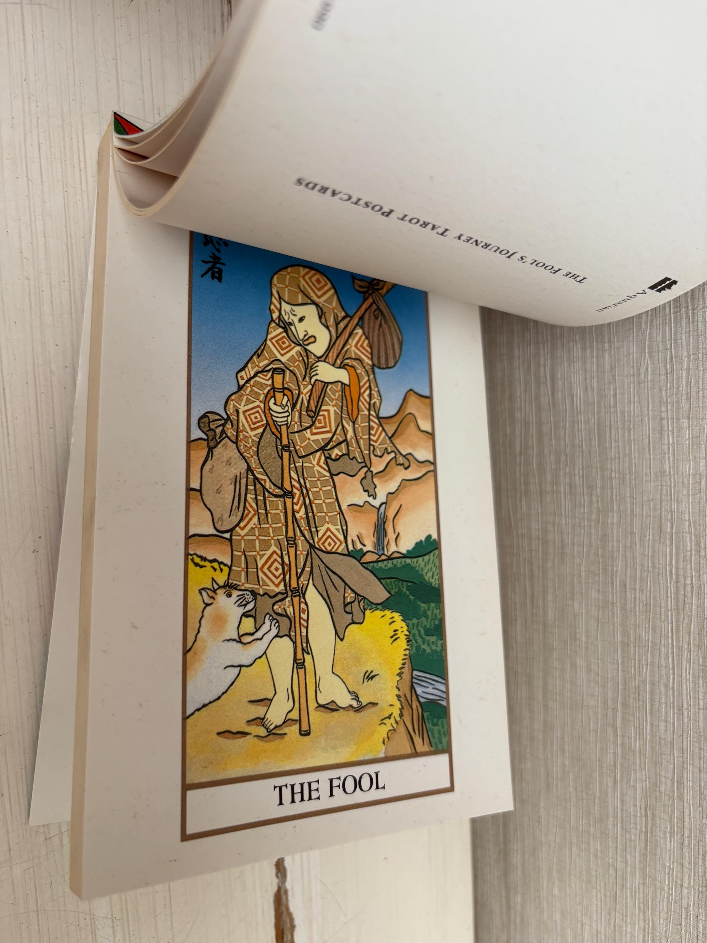 The Fools Journey Tarot Post Cards Book 30 Postcards Aquarian