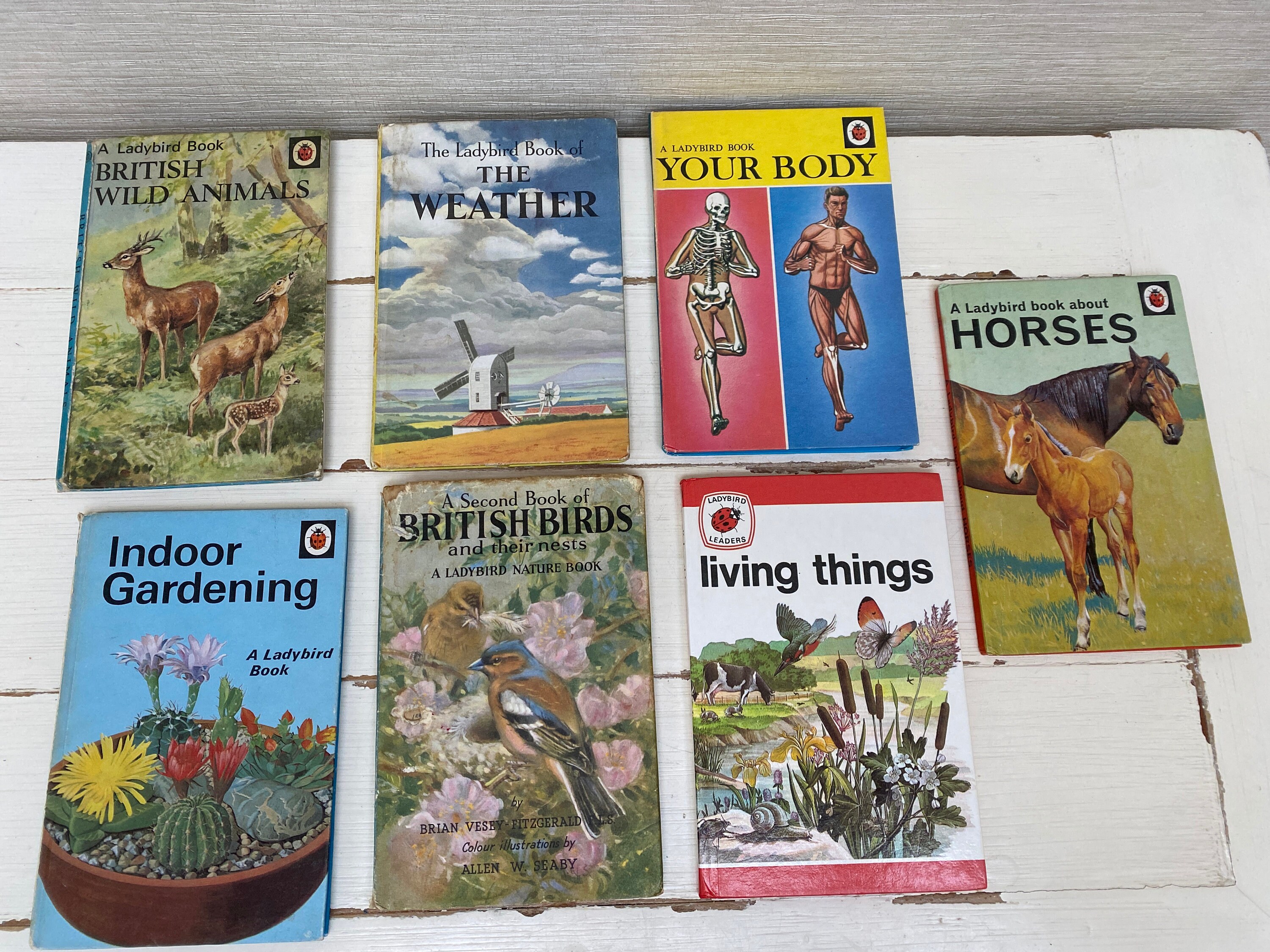 Ladybird Books 1950/60/70s Hardbacks- Various Titles -sold