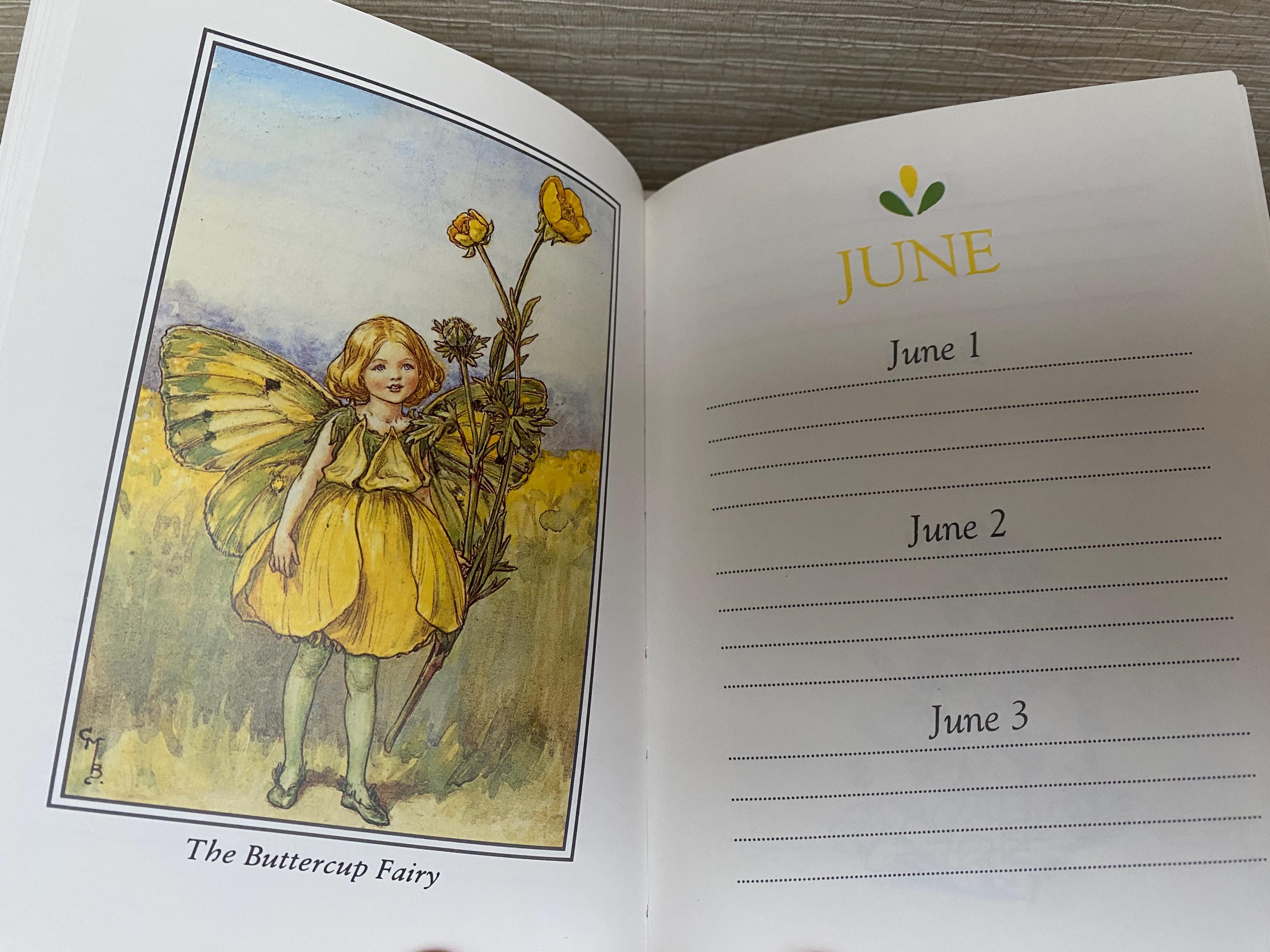 The Flower Fairies Birthday Book by Cicely Mary Barker Hardback
