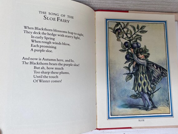 Flower Fairies of the Autumn by Cicely Mary Barker 1985 Hardback